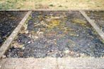 Platt: Sachsenhausen 2003,Grundriss einer Zelle für 12 Mann
